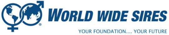 logo WWS