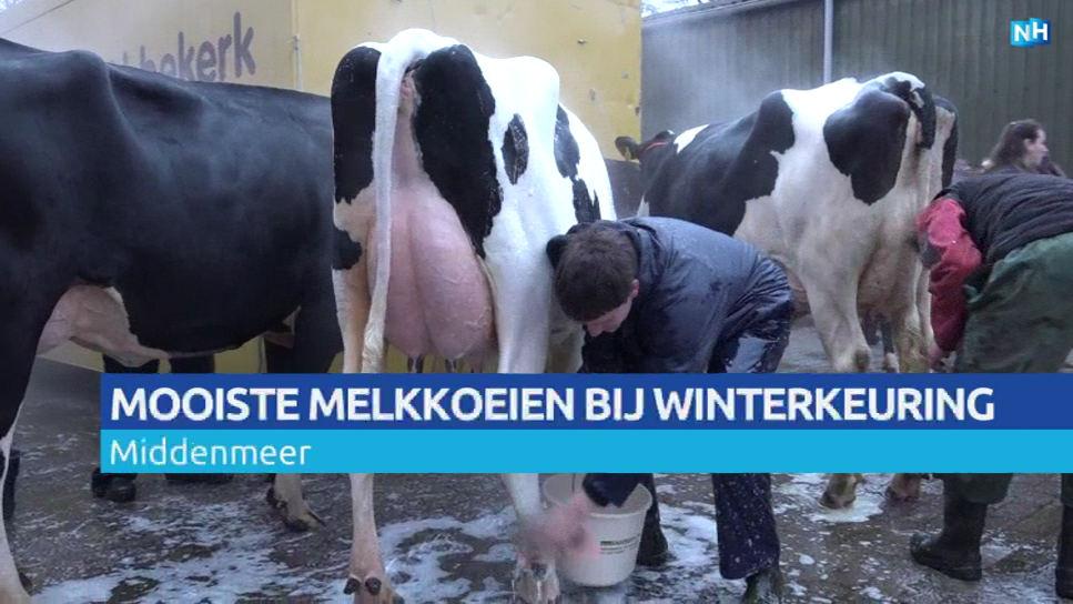 Wintershow Middenmeer 2018